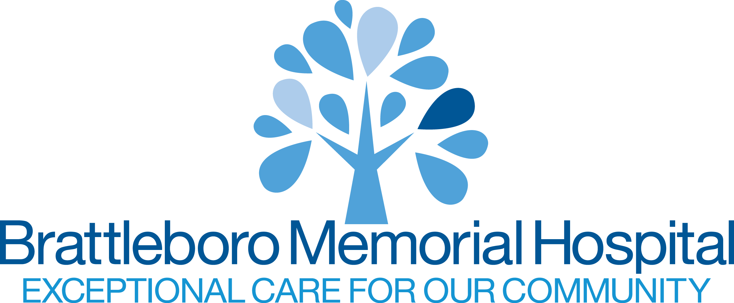 Brattleboro Memorial Hospital